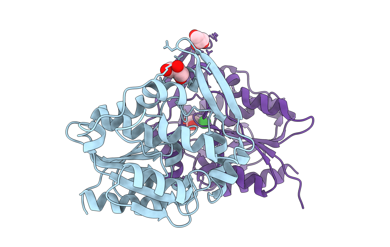 6COB image