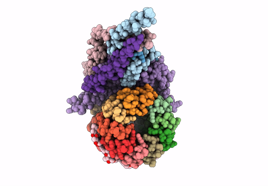 6CP5 image