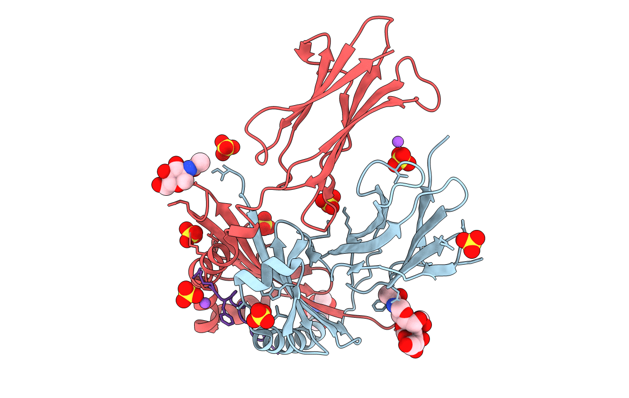 6CPN image