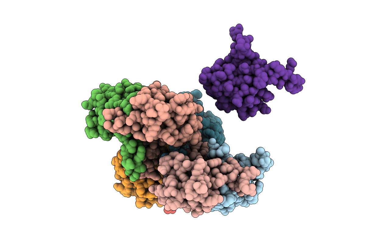6CQM image