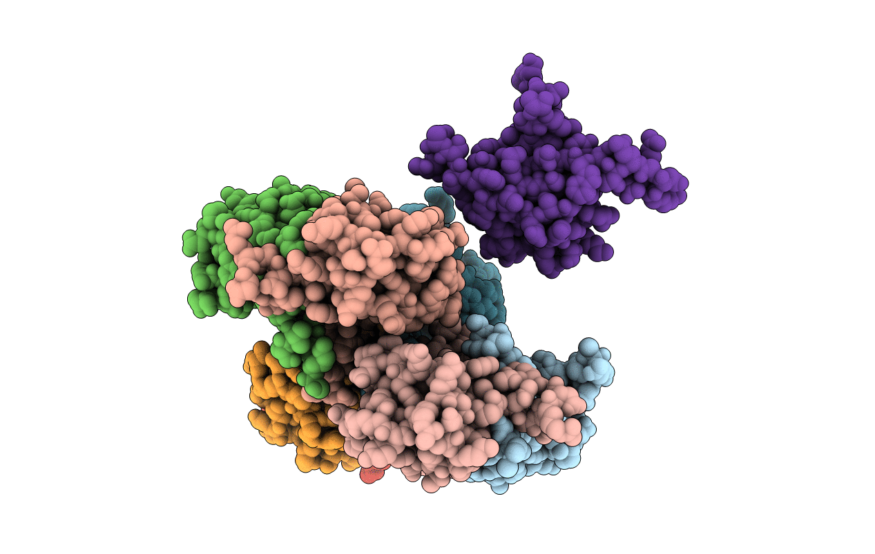 6CQO image