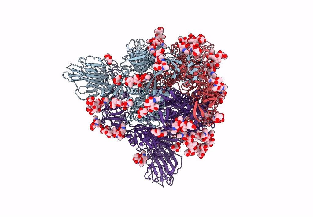 6CS1 image