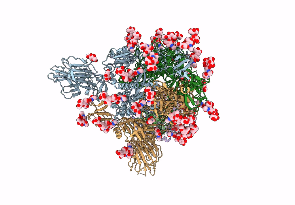 6CS2 image