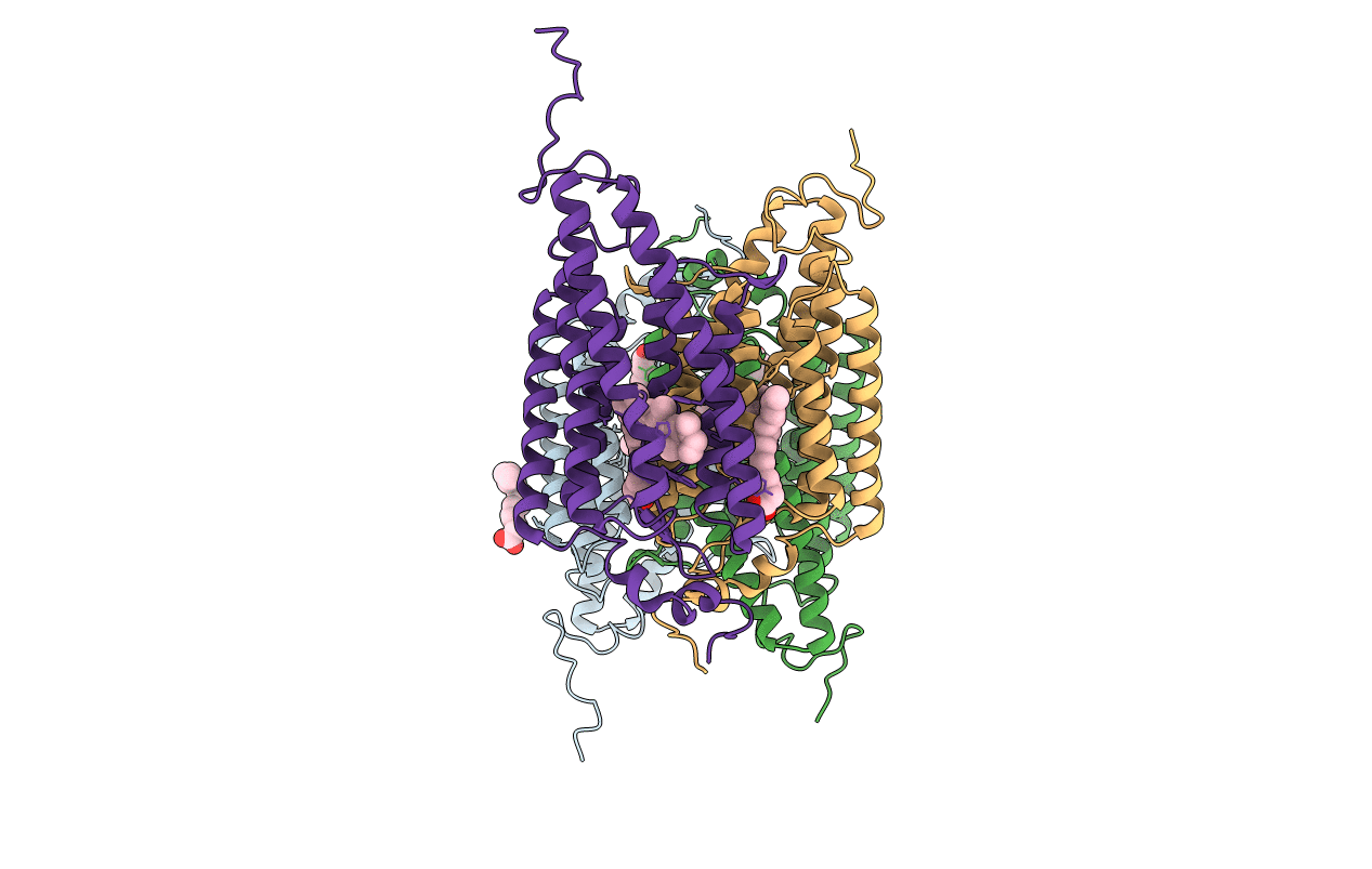6CSM image