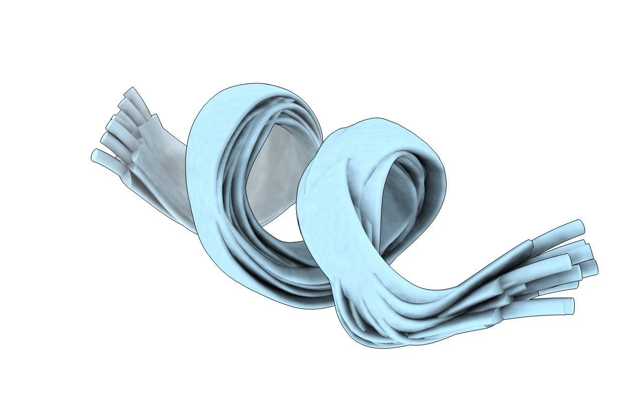 6CTG image