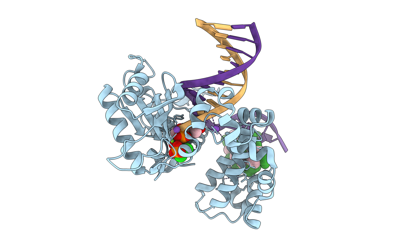 6CTI image