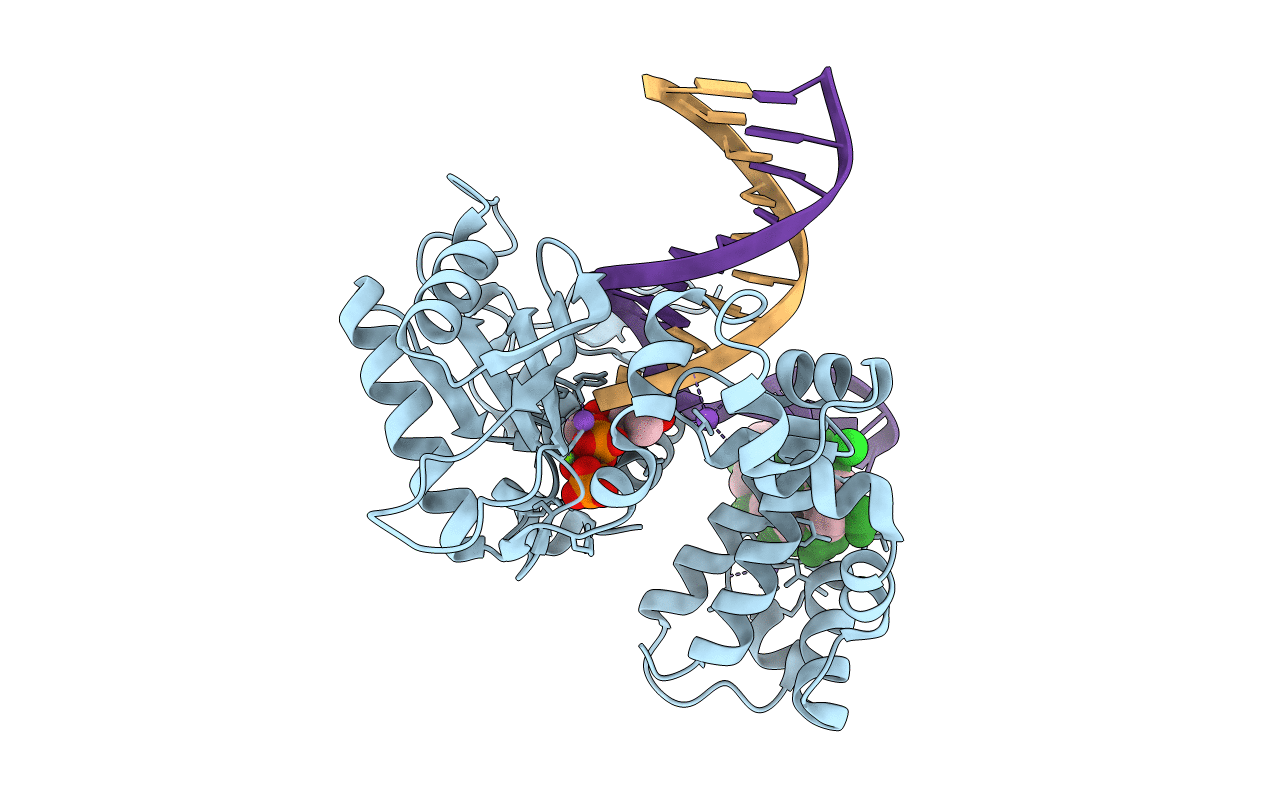 6CTP image