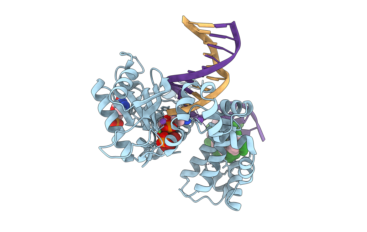6CTX image