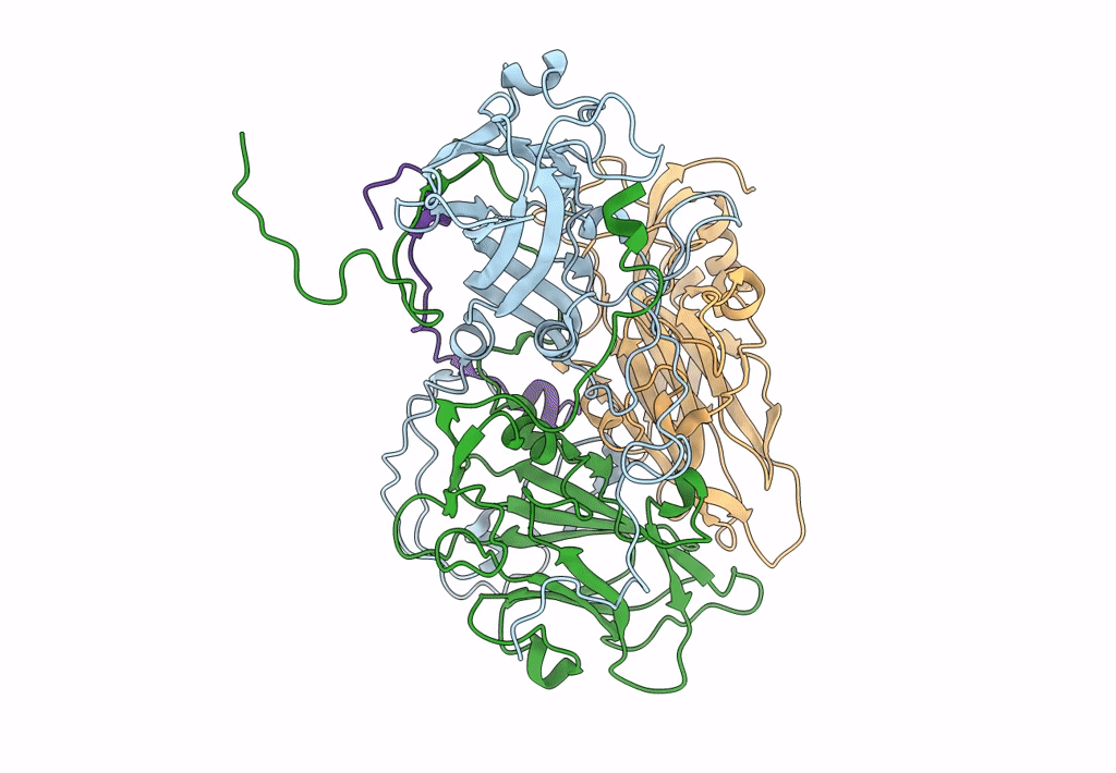 6CV1 image