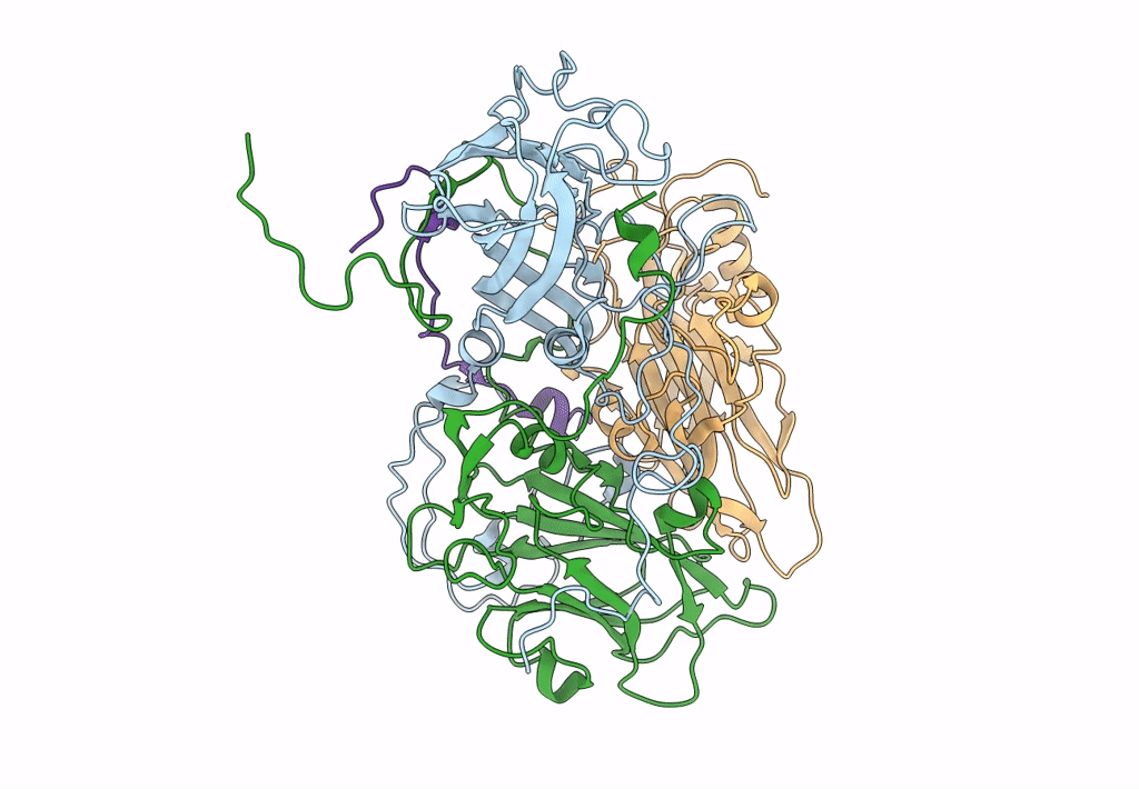 6CV5 image