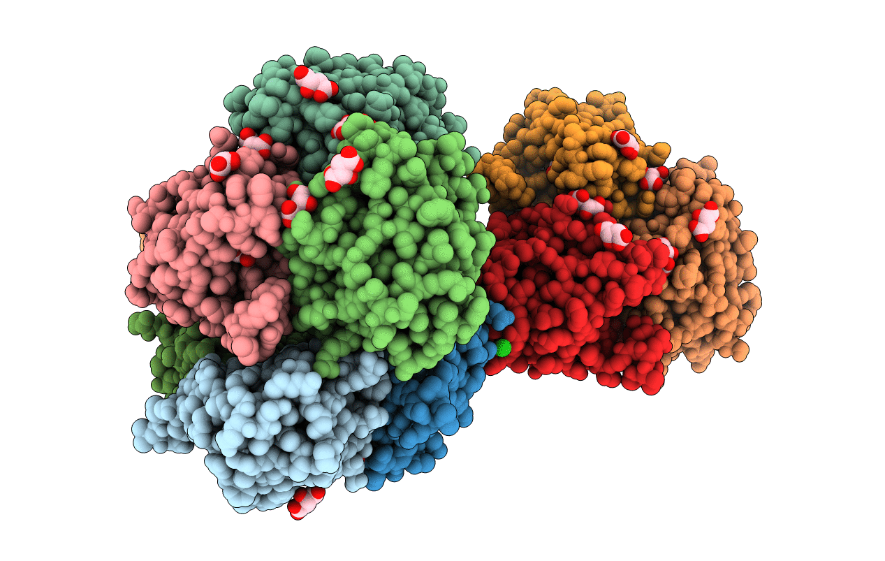 6CV6 image