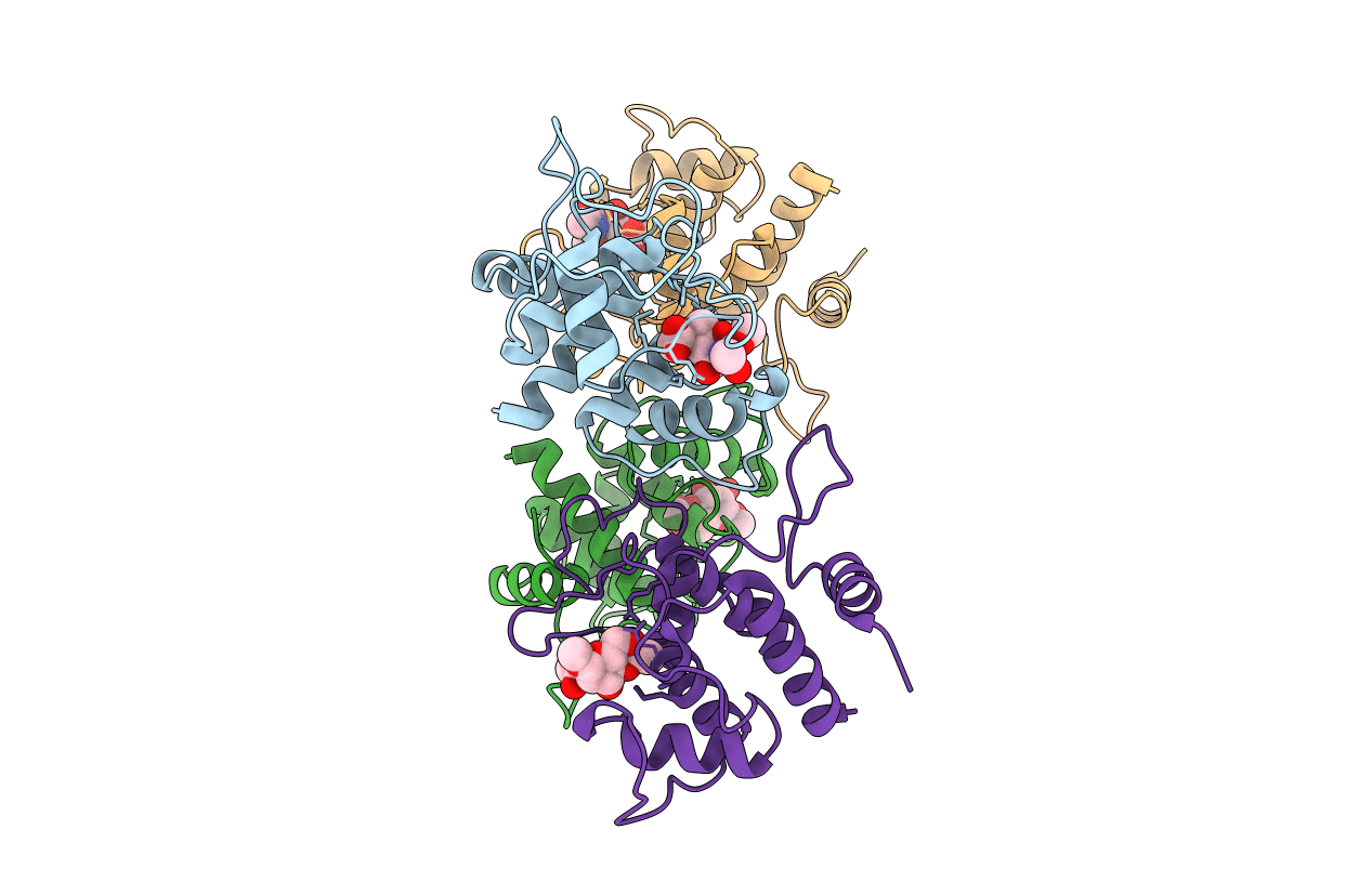 6CWH image