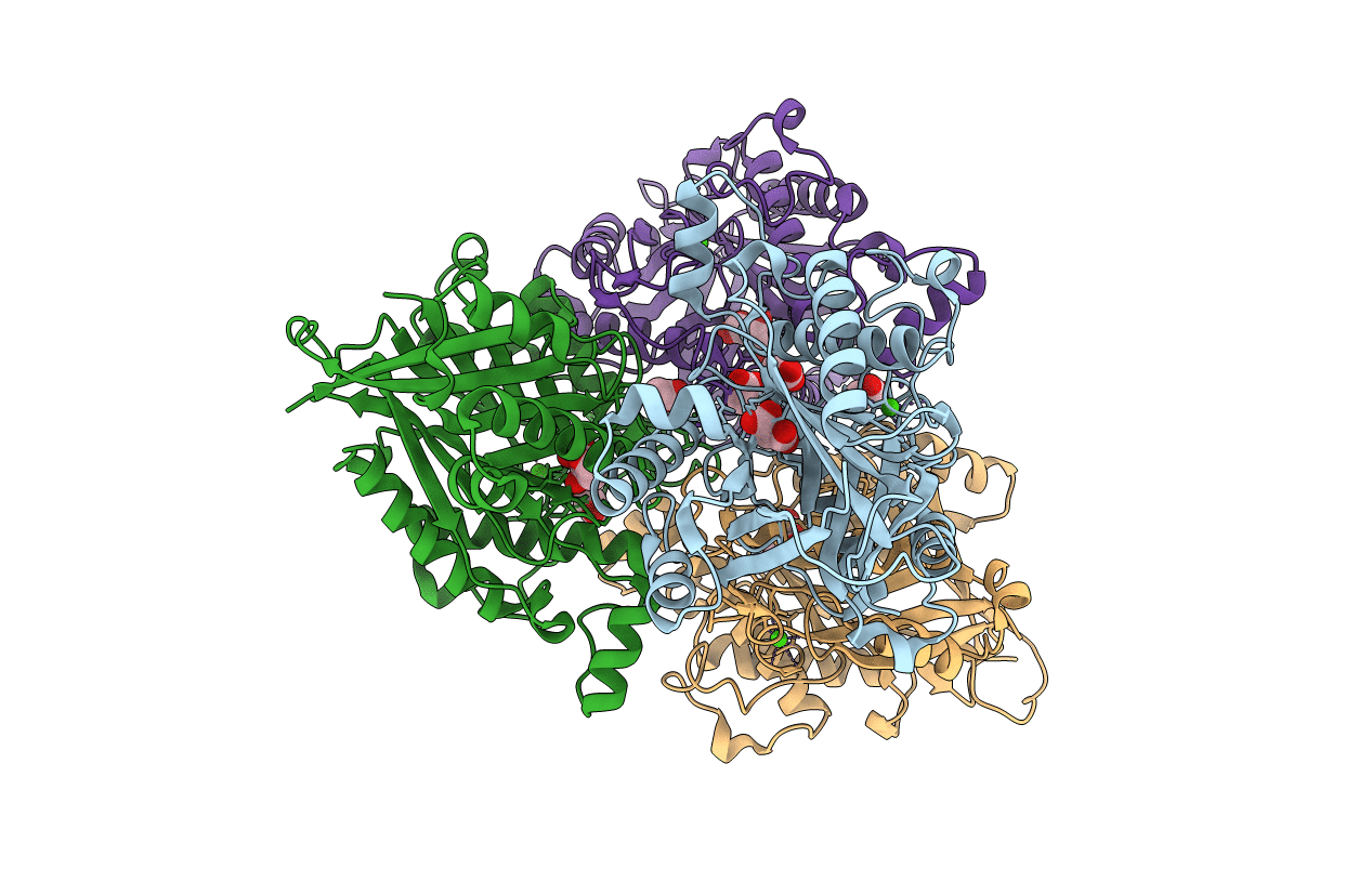 6CWJ image