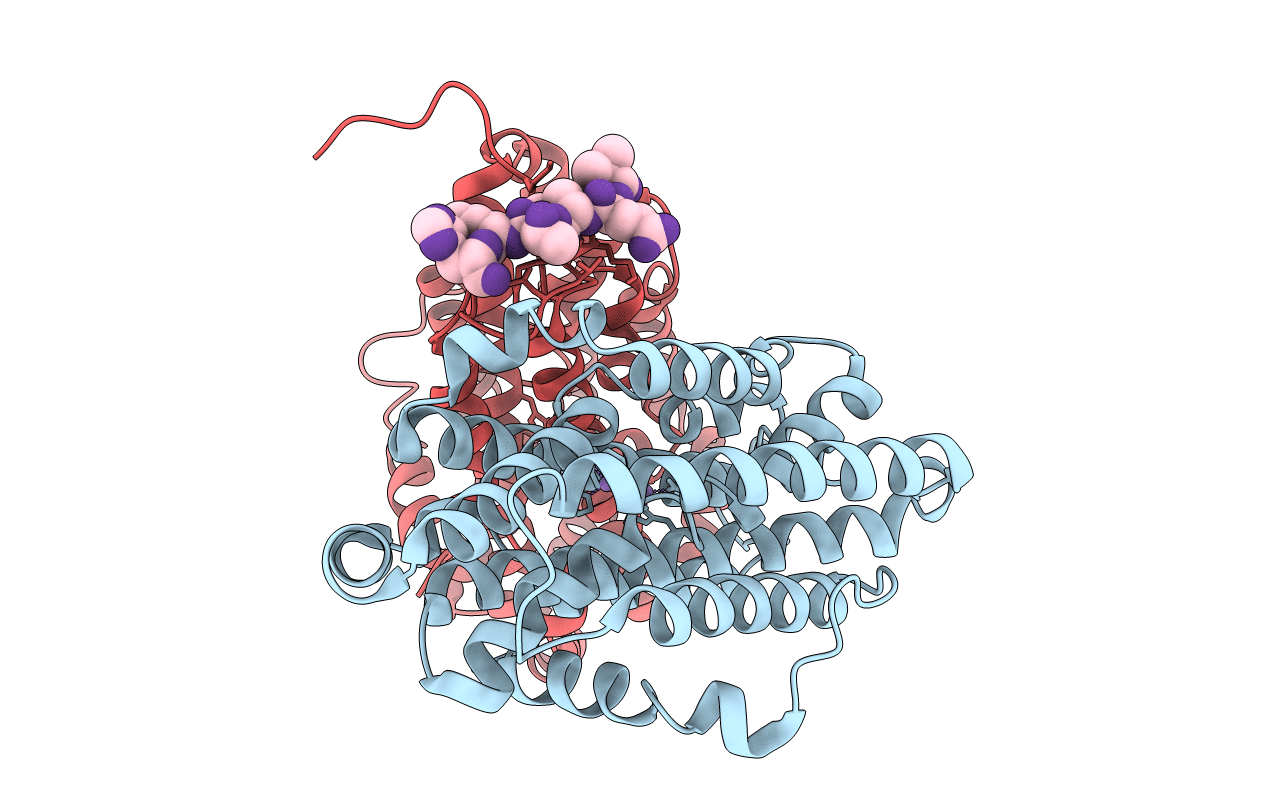 6CWP image