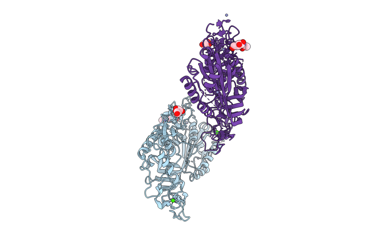 6CXO image