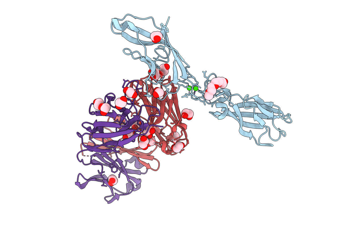 6CXY image
