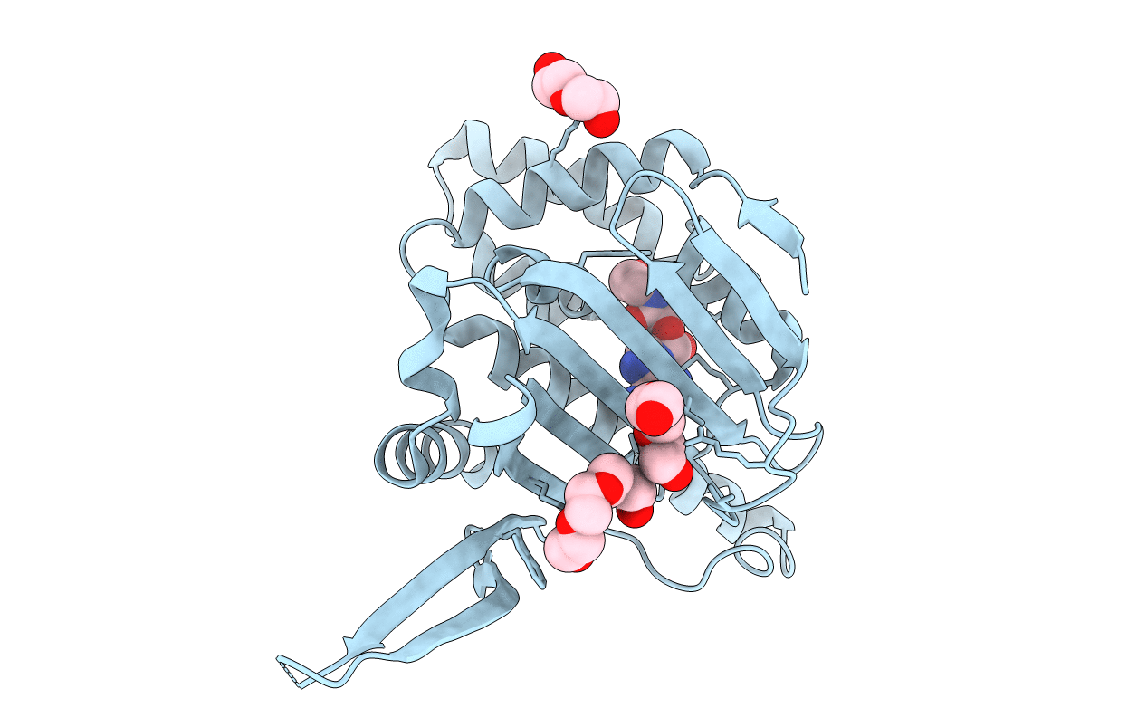 6CYI image