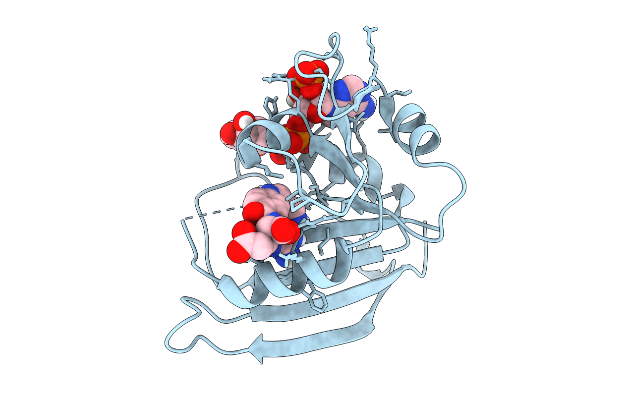 6CYV image