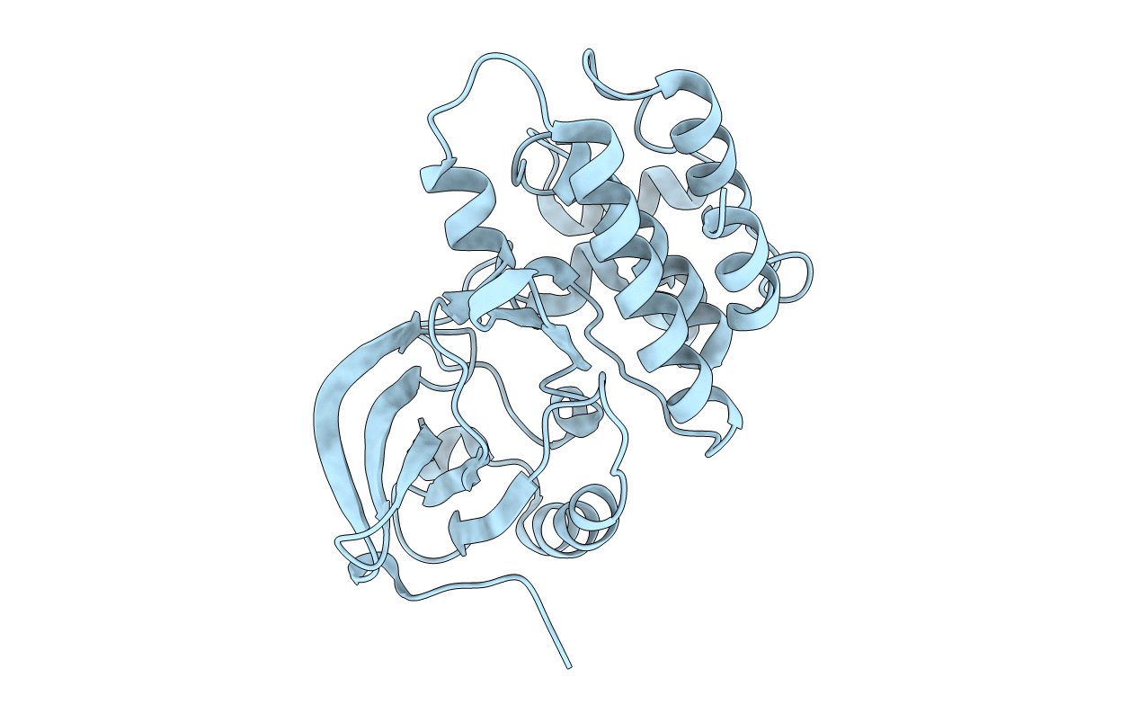 6CZ2 image