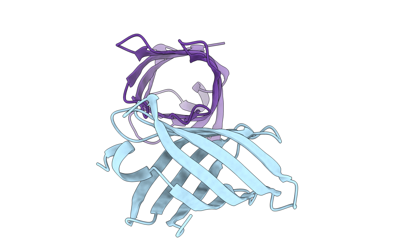 6D0T image