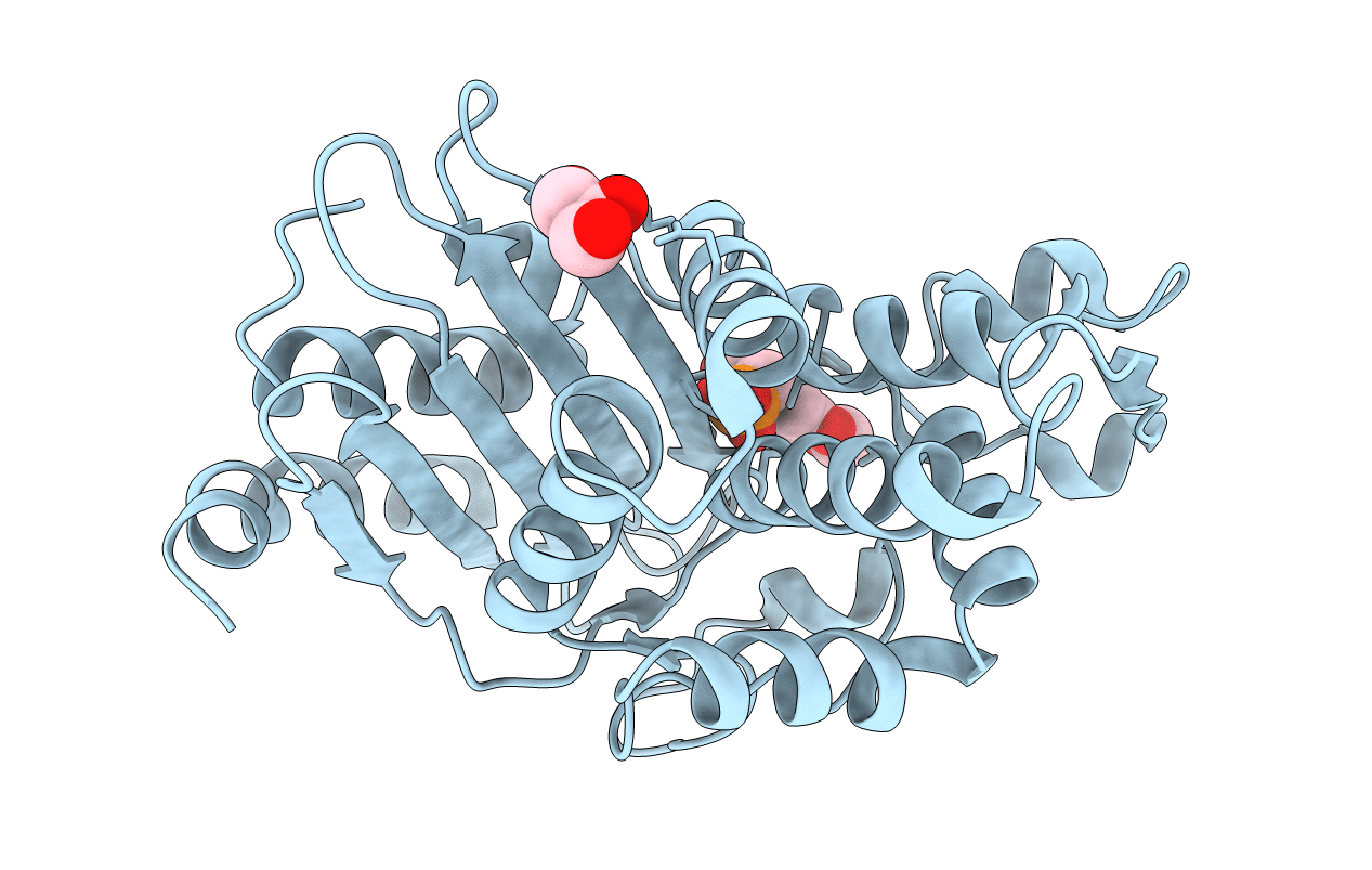 6D17 image