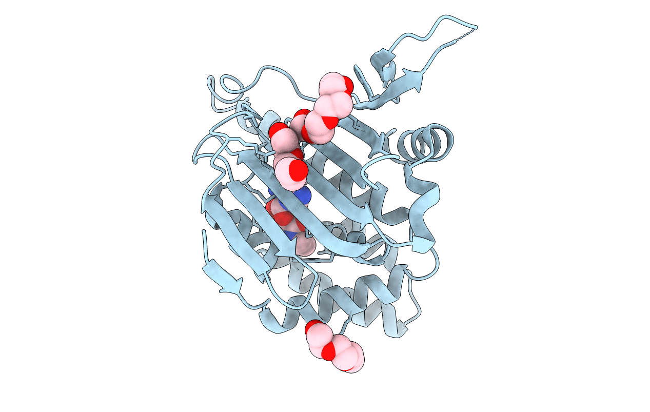 6D1X image