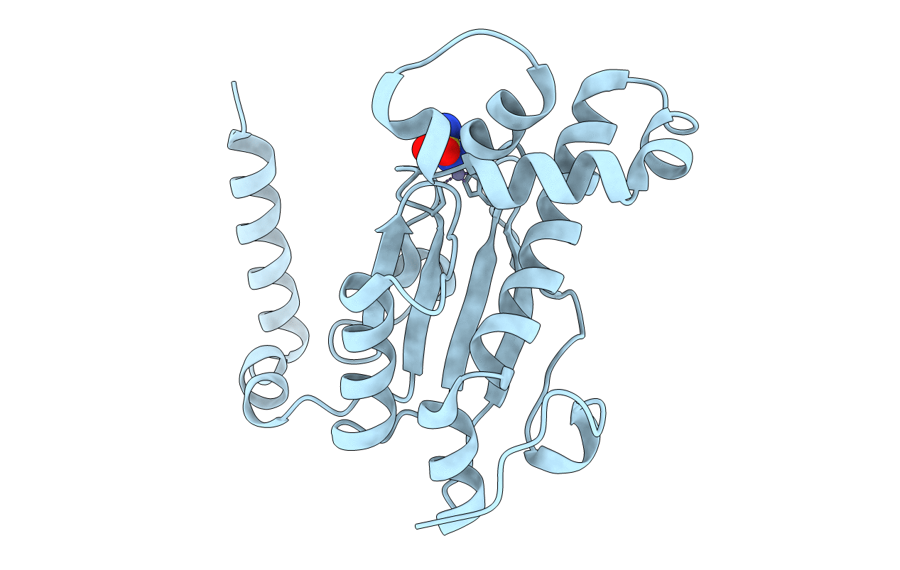 6D2N image
