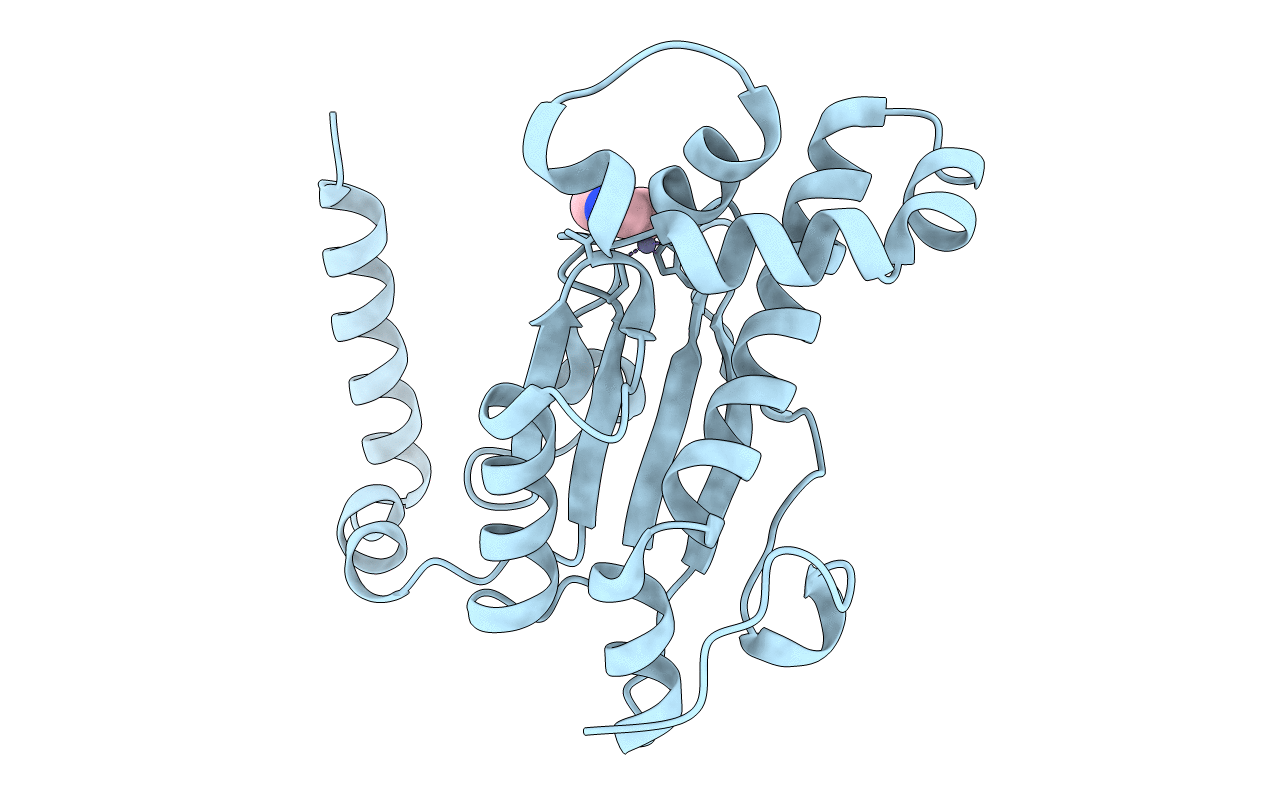 6D2O image