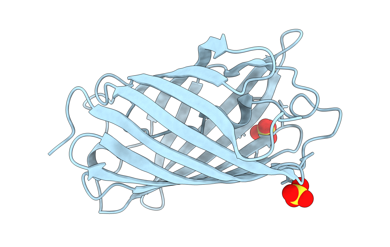 6D38 image
