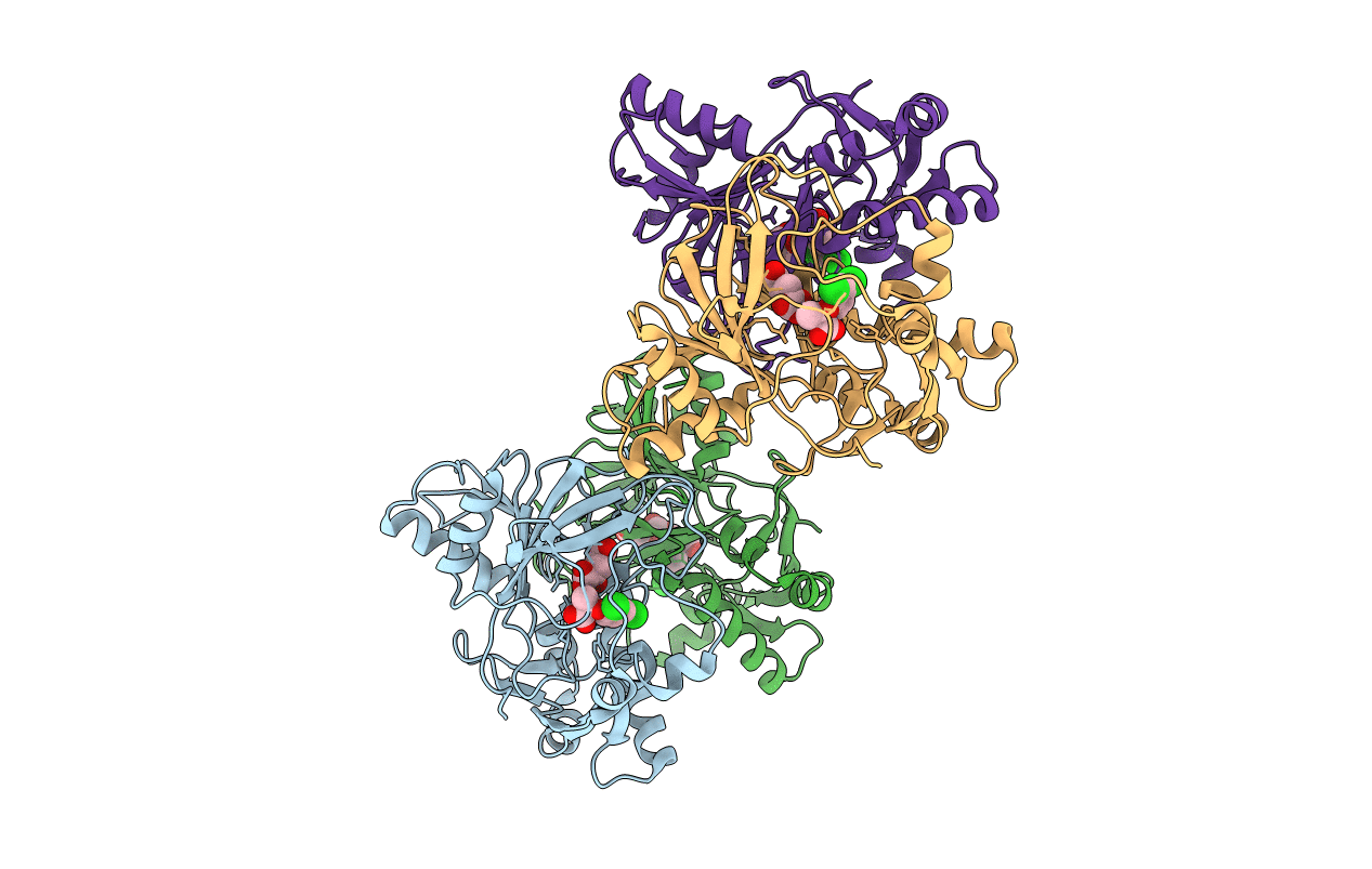6D3H image