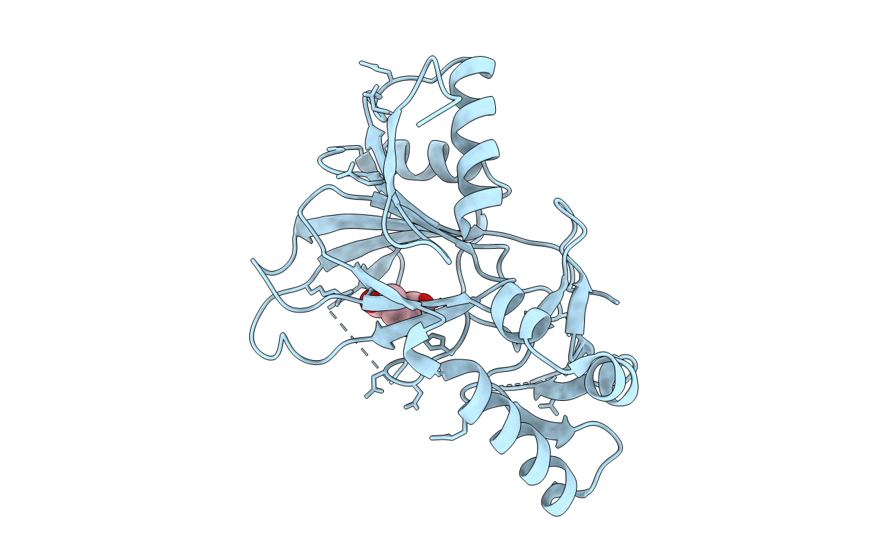 6D3J image