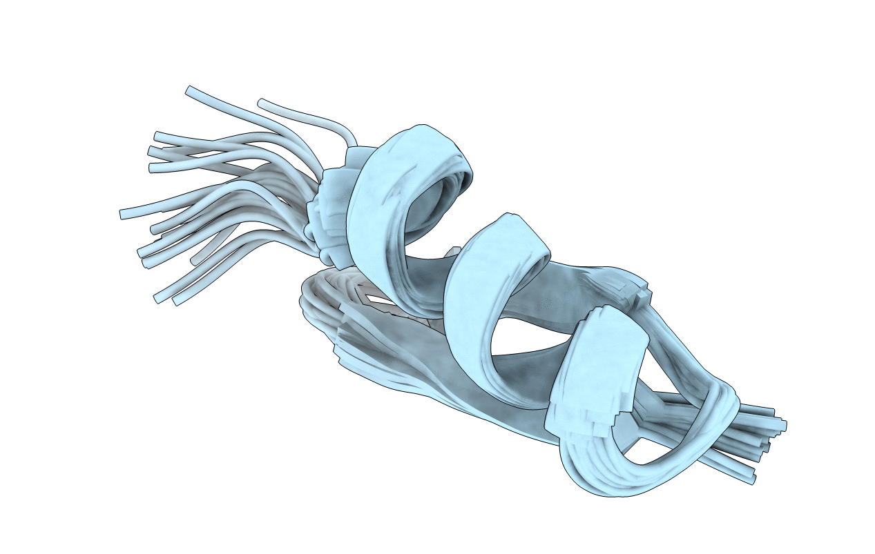 6D3T image