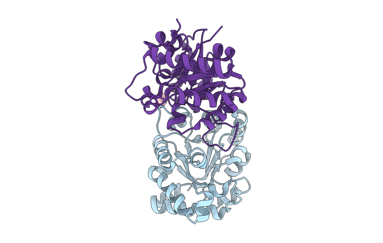 6D43 image