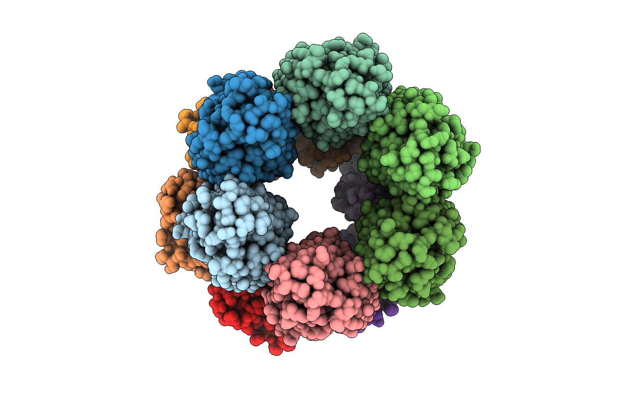 6D5B image