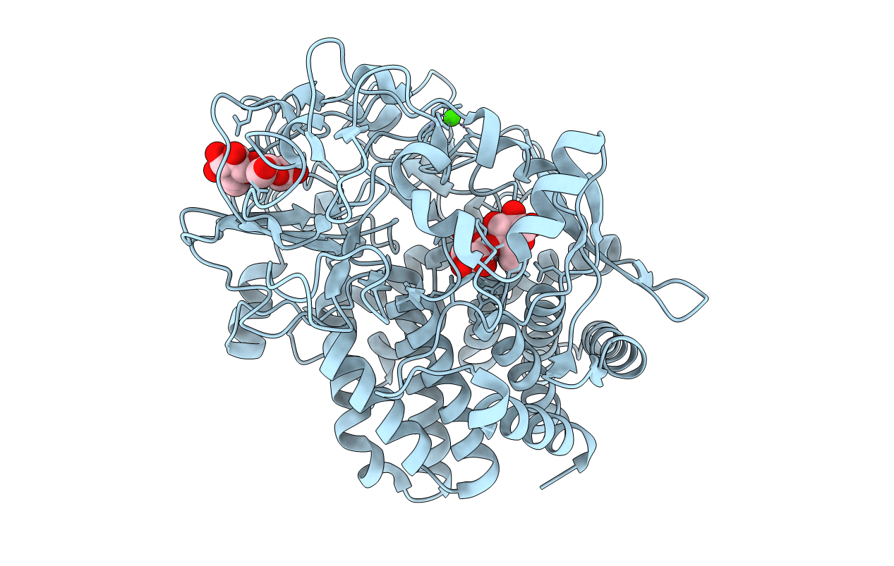 6D5D image