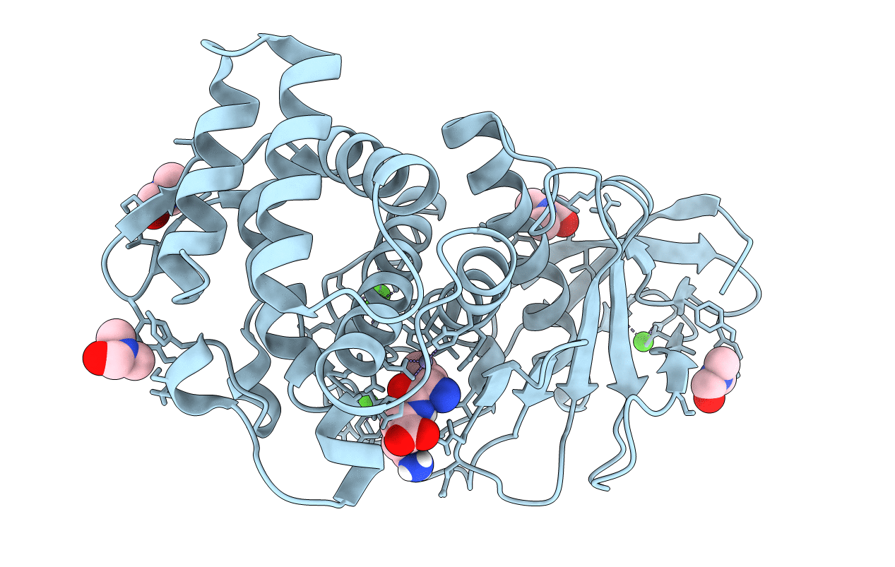 6D5O image