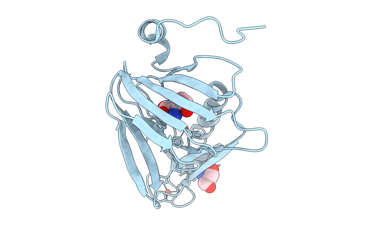 6D62 image
