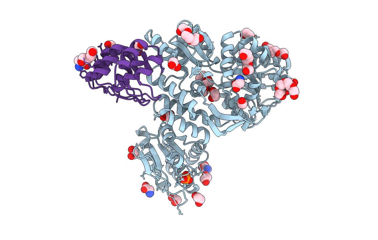 6D66 image