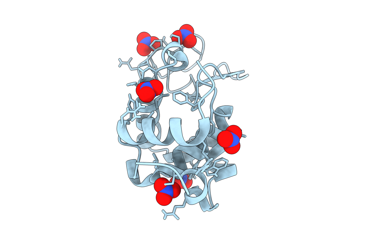 6D6G image