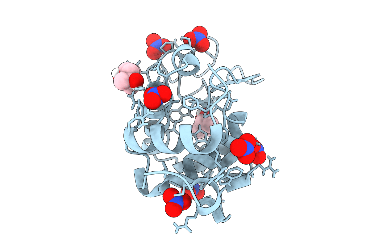 6D6H image