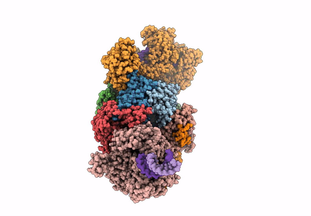 6D6R image