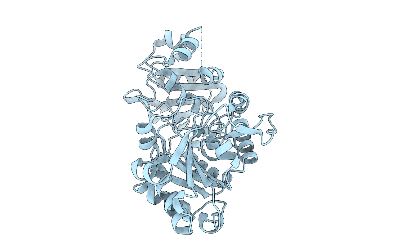 6D6Z image