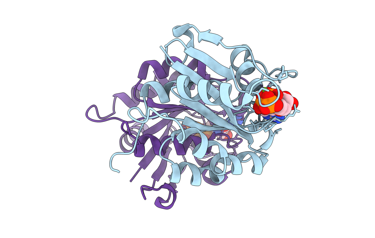6D71 image
