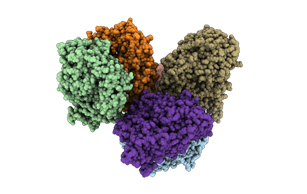 6D7F image