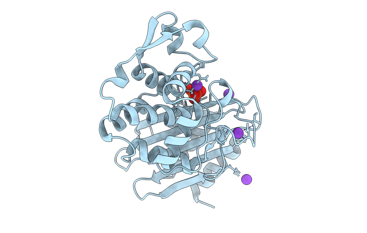 6D7H image