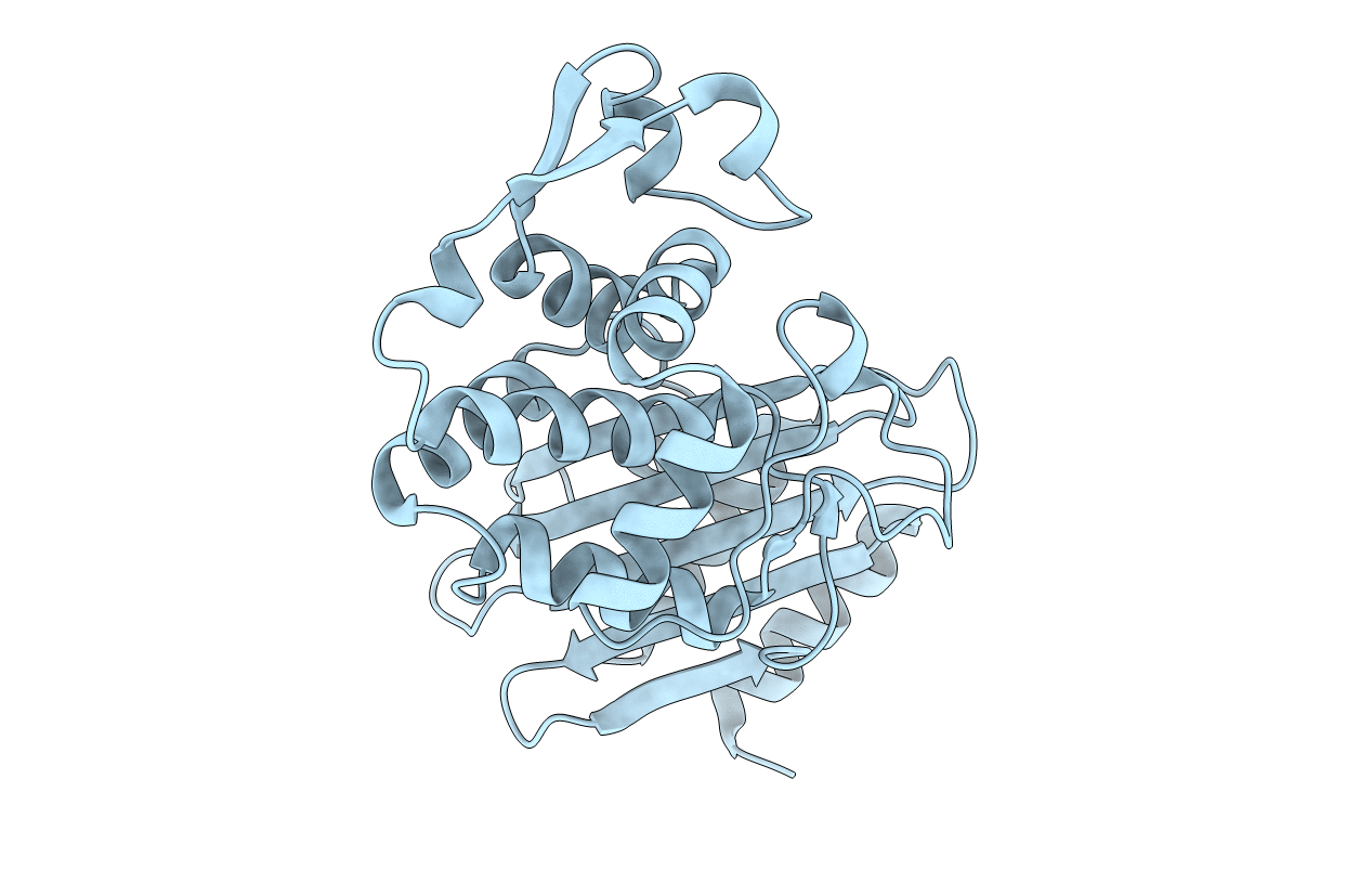 6D7I image