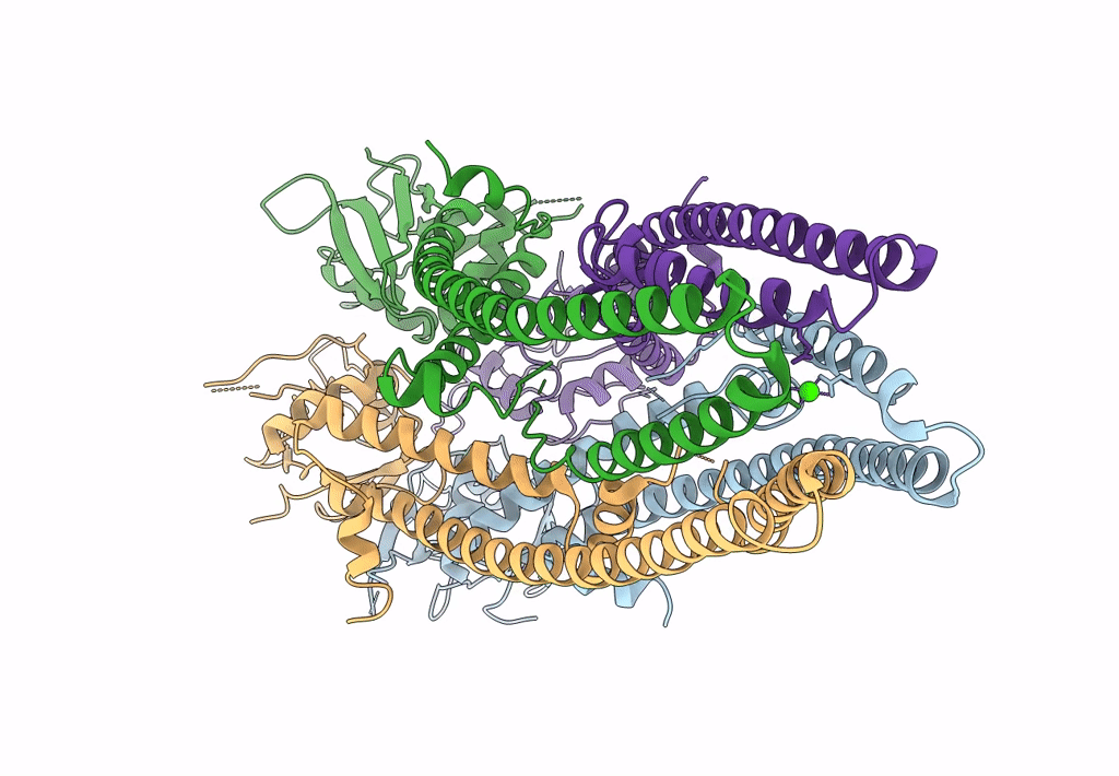 6D7W image