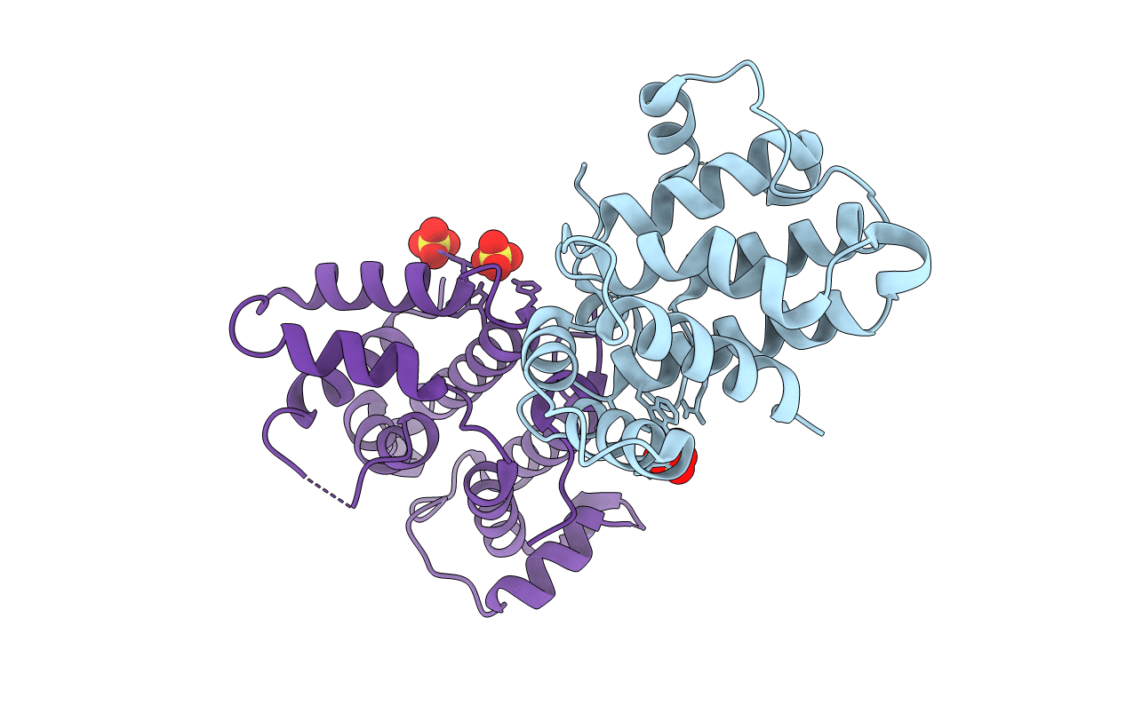 6D81 image
