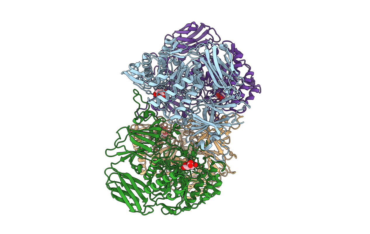6D89 image