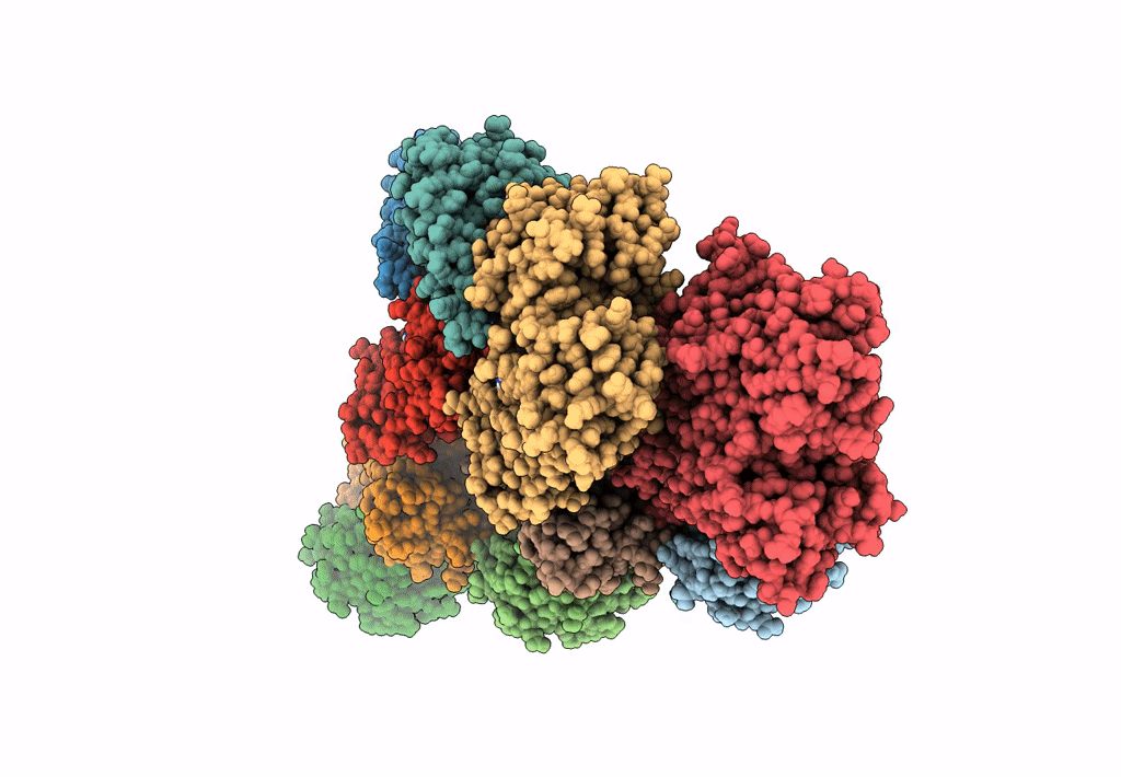 6D8C image